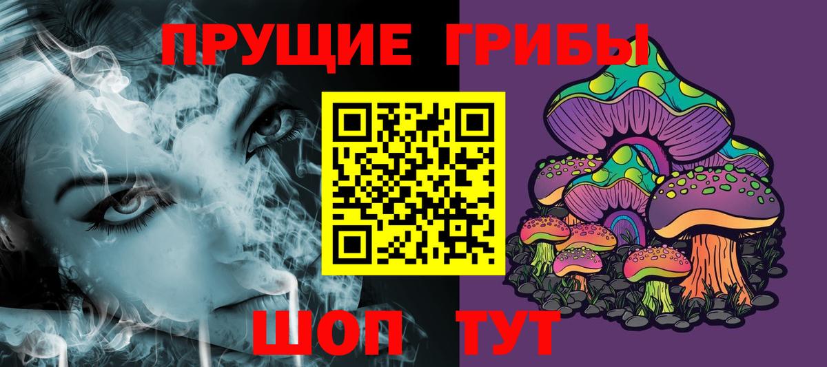 Псилоцибиновые грибы MAGIC MUSHROOMS  Вход с VPN  Галлюциногенные грибы Psilocybe  Елизово 